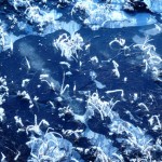 Frozen puddle on Dumyat