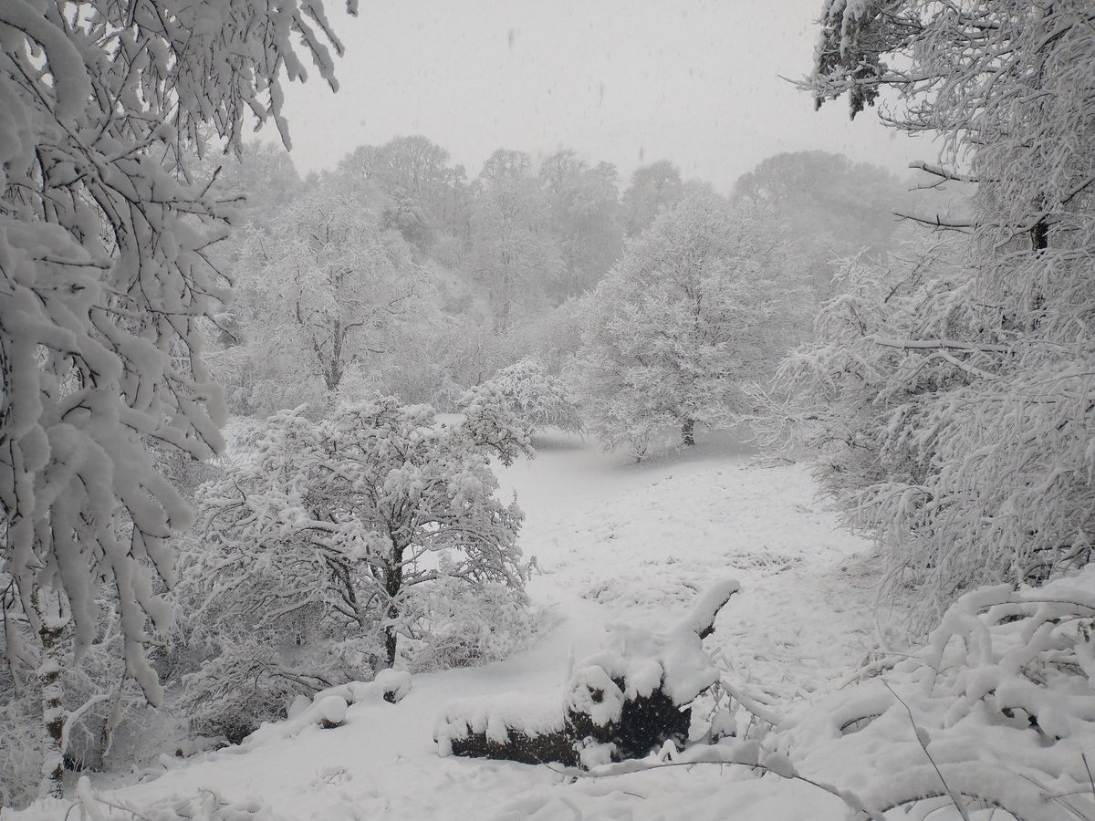 Dollar Glen in snow